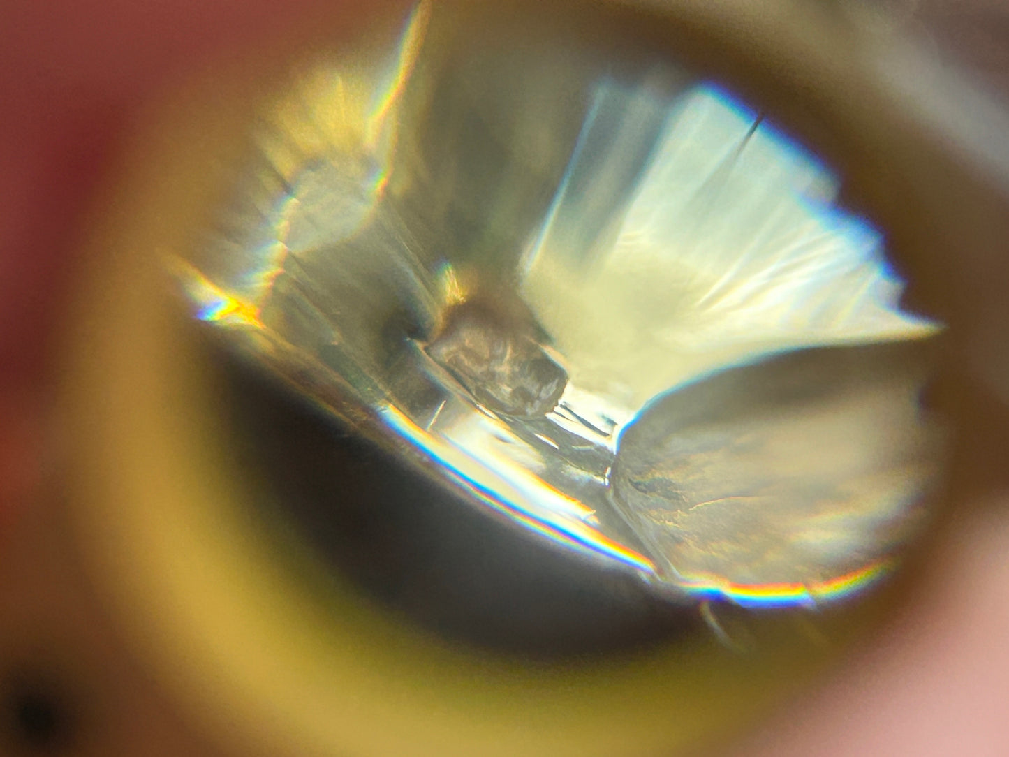 10k Yellow Gold Sapphire Diamond Wide Ring Sz 4.25