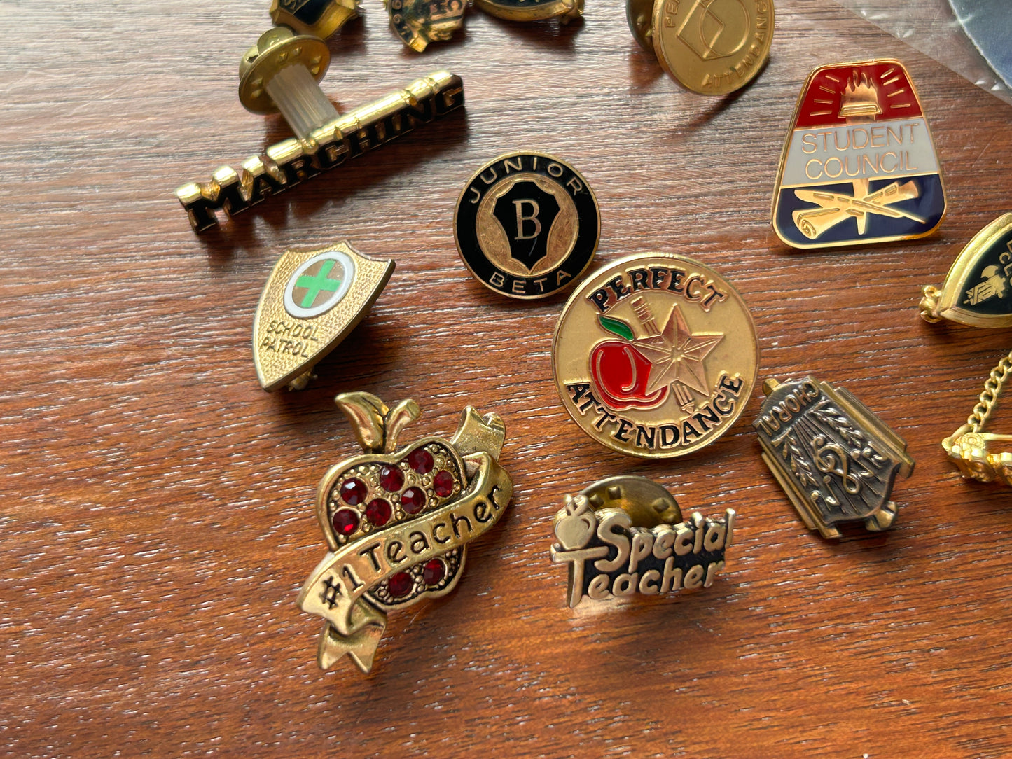 Vintage to Now School Themed Brooch Pins Pinback Lot Latin Club Student Council