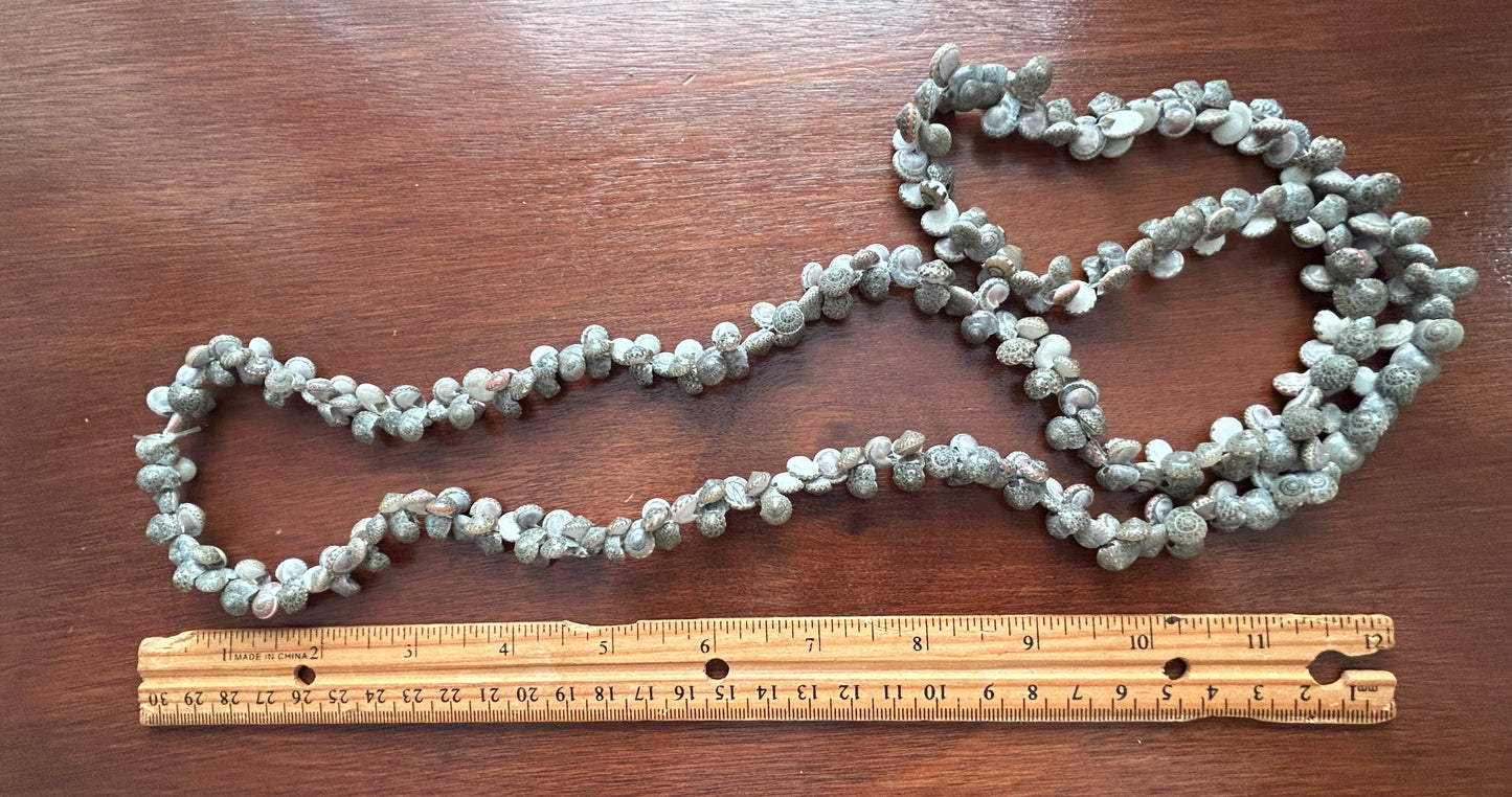 Vintage Tiny Gray Spiral Snail Shell Necklace Long