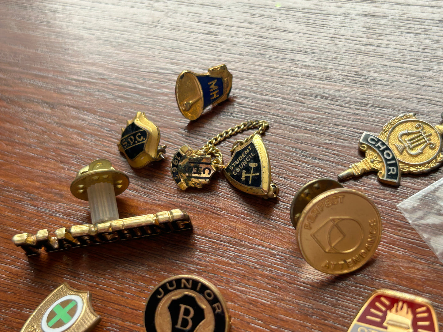 Vintage to Now School Themed Brooch Pins Pinback Lot Latin Club Student Council