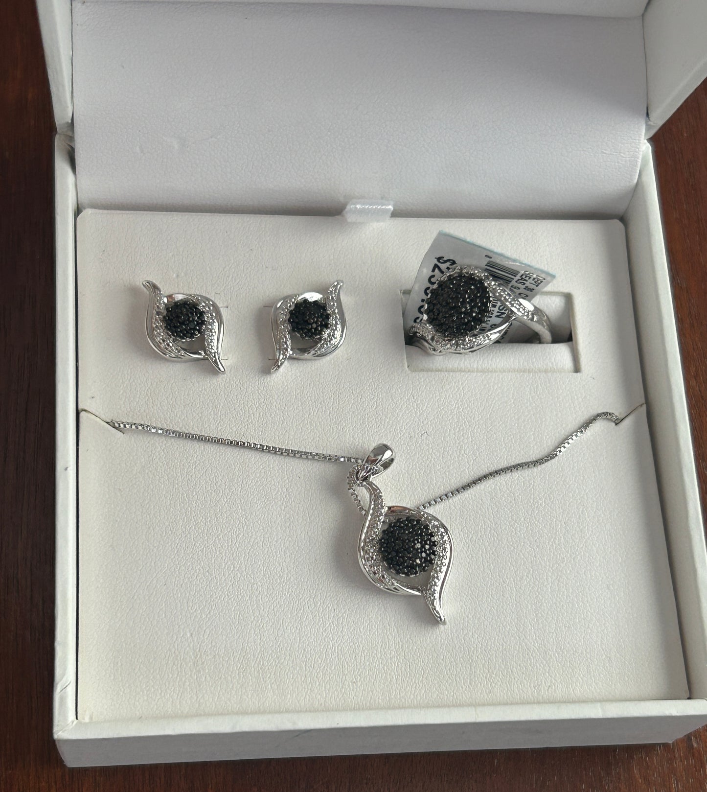 Silver Plate .10cttw Genuine Black White Diamond Jewelry Set Necklace Earrings