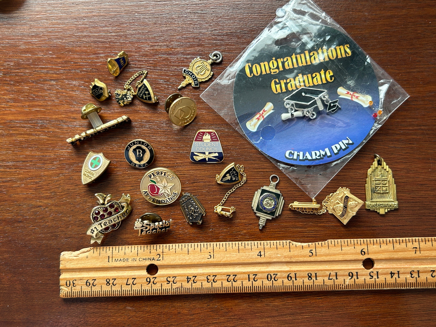 Vintage to Now School Themed Brooch Pins Pinback Lot Latin Club Student Council