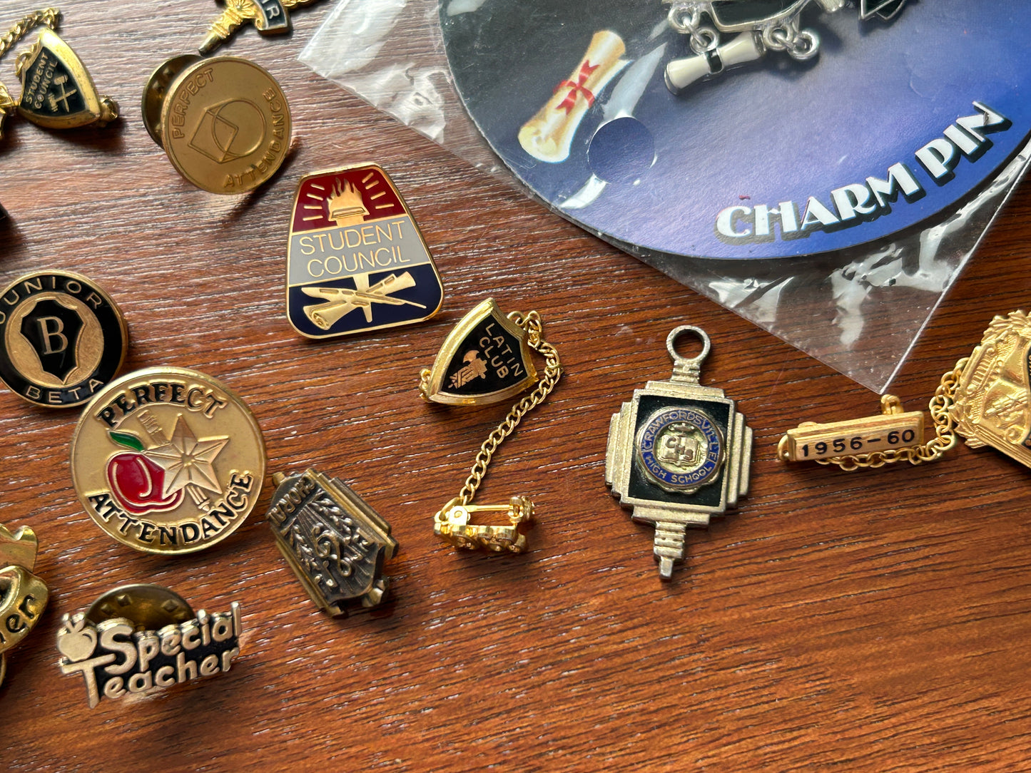 Vintage to Now School Themed Brooch Pins Pinback Lot Latin Club Student Council