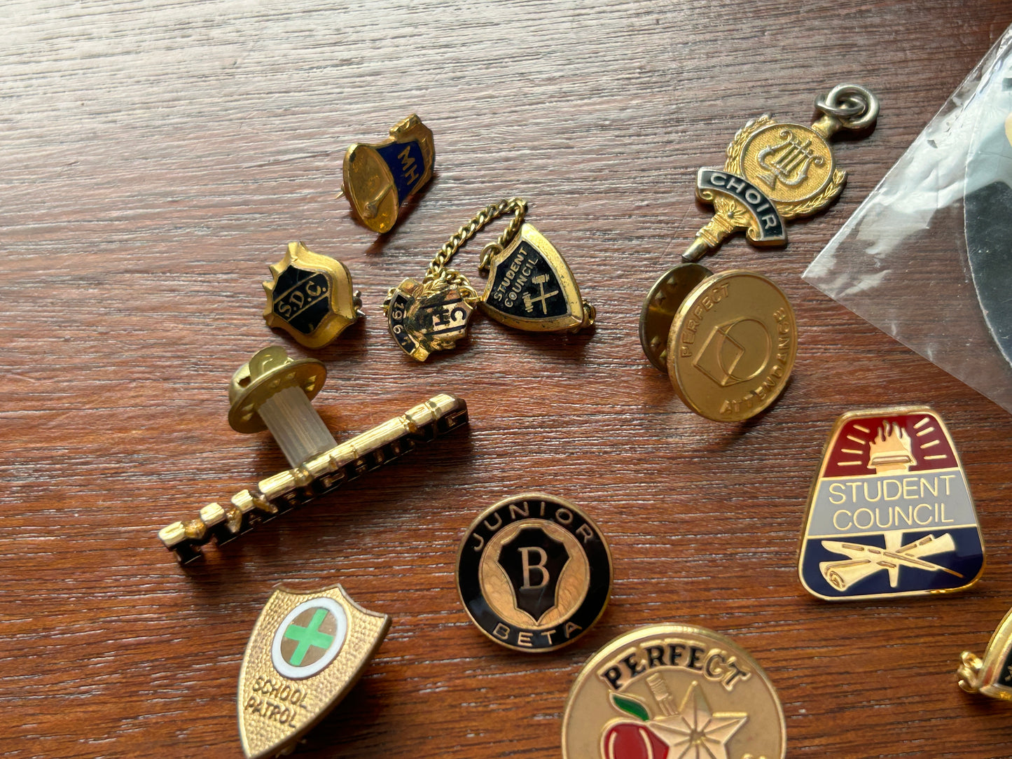 Vintage to Now School Themed Brooch Pins Pinback Lot Latin Club Student Council