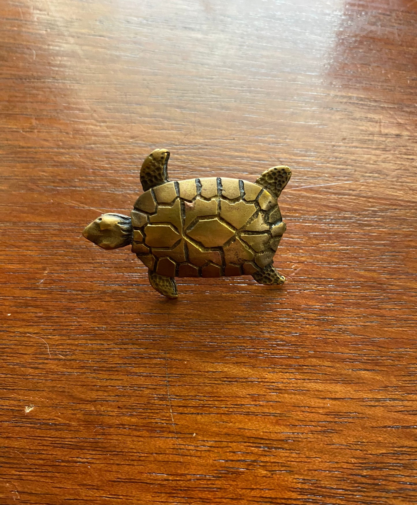 Vintage Brass Turtle Button Lapel Pin