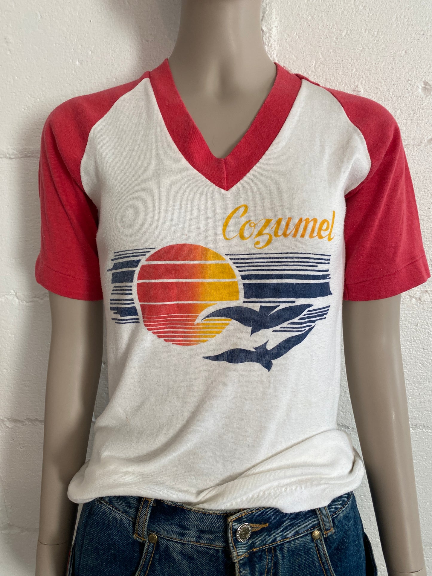 True Vintage 70's 80's Raglan Cozumel T-Shirt V-Neck