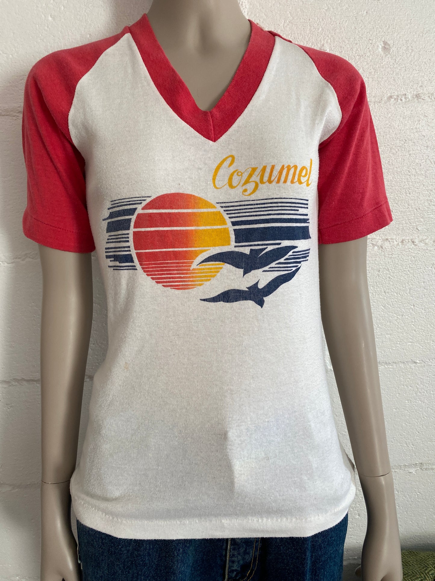 True Vintage 70's 80's Raglan Cozumel T-Shirt V-Neck